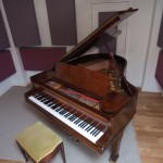 Steinway paranamicAB